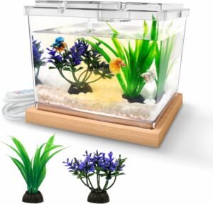 MoonOrange Kit de aquário Mini Betta com base de luz LED